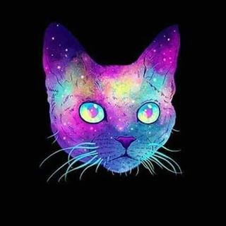 Profile Picture of Marco Conchas (@marco.conchas.90) on Facebook