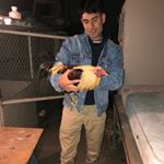 Profile Picture of Guillermo Armas (@memoee) on Instagram