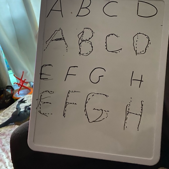 Kamel Djamel - Poshmark Profile Picture of Kamel Djamel (@kamel1971) on Poshmark