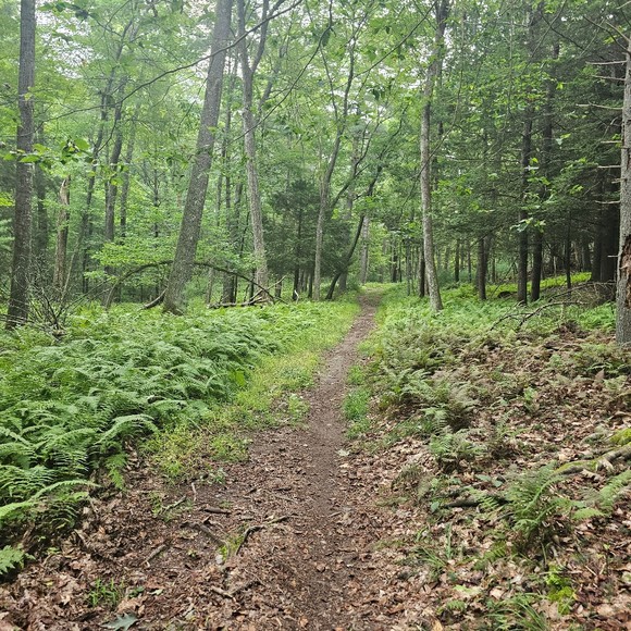 Profile Picture of Eric Lambert (@luceri84) on Poshmark