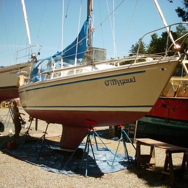 Bob Grist - Twitter Profile Picture of Bob Grist (@yellowkayak) on Twitter