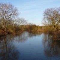 Profile Picture of Lara Court (@lara-court) on Quora