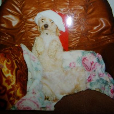 Profile Picture of Michaux Bryan (@MichauxBryan) on Twitter