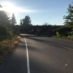 Profile Picture of Omar Sosa (@omarsosus9) on Instagram