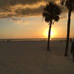 Profile Picture of Cheryl Dirksen (@dirksendesign) on Instagram