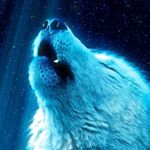 Profile Picture of hunter_dj (@alexander.nicholas.liu2008) on Instagram