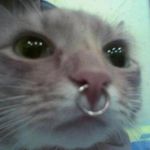 Profile Picture of kayla jerri naldo (@kj.n) on Instagram