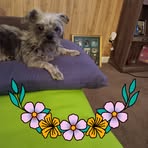 Profile Picture of Nancy Clack (@nancy.clack.16) on Facebook