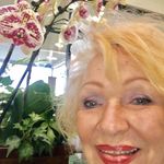 Profile Picture of beverly ward (@bj_7___) on Instagram