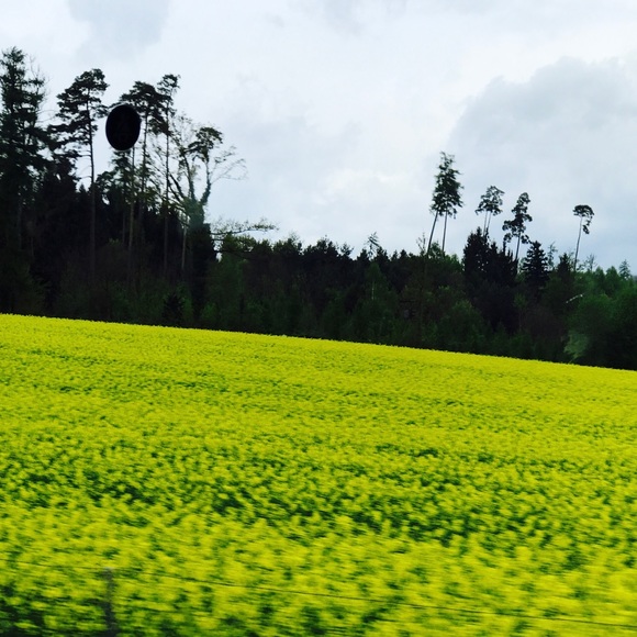 Profile Picture of Dawn Gerards (@dawngerards) on Poshmark