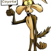 Aaron Lozano - Quora Profile Picture of Aaron Lozano (@aaron-lozano-7) on Quora