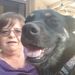Profile Picture of Lisa Nygren Matson (@lematson) on Pinterest