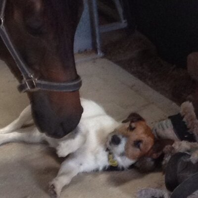 Profile Picture of Ben Pollock (@Benfarrier) on Twitter