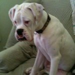 Profile Picture of Jerry Hanna (@thejaydog69) on Instagram