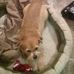Profile Picture of Chewy Sanderlin (@chewy.sanderlin) on Facebook
