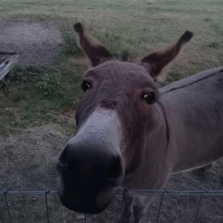 Profile Picture of Pieter Lambrecht (@lambrechtpieter) on Tiktok