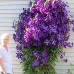 Profile Picture of Joan Vranish (@joanvranish) on Instagram