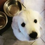 Profile Picture of James P. Sullivan (@sleepy.sully) on Instagram