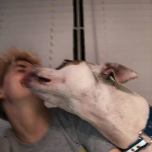 Profile Picture of Michaela Hogan (@michiiie) on Poshmark