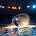 Profile Picture of Juan Esteban Serrano Echeverria (@juanseche) on Flickr