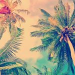 Profile Picture of Alistair Blake⛈️💚 (@alistair_blake01) on Instagram