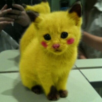 Jacob Jahn - Twitter Profile Picture of Jacob Jahn (@jakefonzo) on Twitter