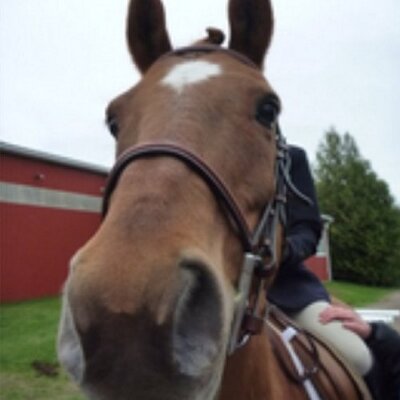 Audrey Brousseau - Twitter Profile Picture of Audrey Brousseau (@audrey112399) on Twitter