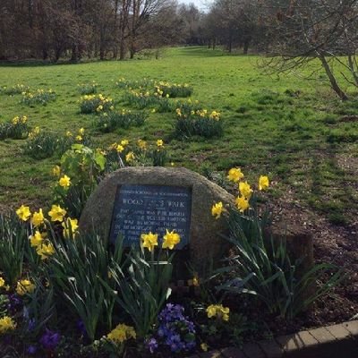 Profile Picture of Cllr. Celia Hibbert (CeeCee) (@CeliaHibbert) on Twitter