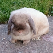 Profile Picture of Ginny Fielder (@GinnyFielder-e9p5r) on Youtube