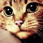 Profile Picture of Dimson (@dimsonkoshkin31) on Instagram