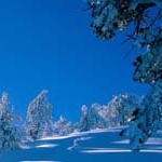 Profile Picture of CecilBennett (@cecilbennettp) on Instagram