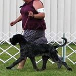 Profile Picture of Stacy Risler (@rislerstacy) on Instagram