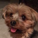 Profile Picture of Jan Dobbs (@jan_dobby2016) on Instagram