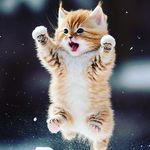 Profile Picture of Iris Larios (@irislarios.sv) on Instagram