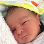 Profile Picture of Andrew Assad (@andrewassadassad) on Instagram