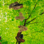 Oliver Wulff - Flickr Profile Picture of Oliver Wulff (@o.wulff) on Flickr