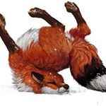 Profile Picture of Julia Gasca (@hasu2725) on Instagram