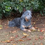 Profile Picture of Bradley House (@bradley.house.719238) on Facebook