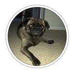 David Wyness - Instagram Profile Picture of David Wyness (@davidw_123) on Instagram