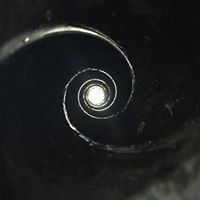 Profile Picture of Daniel O'Dempsey (@danielodempsey) on Pinterest