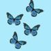 Profile Picture of Nevaeh Parson (@nevaeh1626) on Pinterest