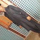 Profile Picture of Zohaib Ahmed Mughal (@zohaibahmed.mughal.9) on Myspace