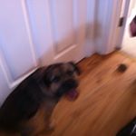 Thomas Hayman - Instagram Profile Picture of Thomas Hayman (@hayman.thomas) on Instagram