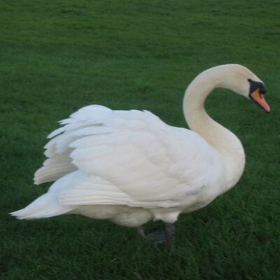 Profile Picture of Matthew Marco (@matthewmarco) on Twitter