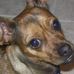 Profile Picture of Alvin H Rosen (@alvin.h.rosen) on Facebook