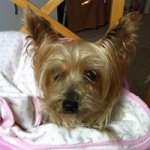 Profile Picture of Gracyne Perkins (@g.perkins) on Instagram