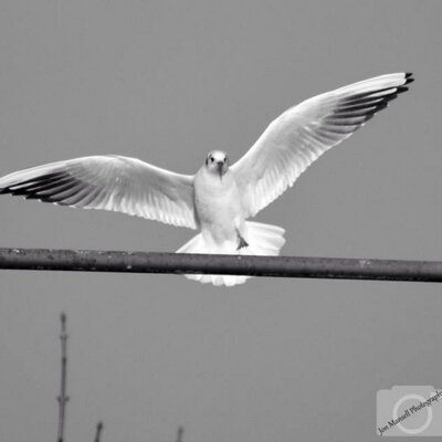 Profile Picture of Jon Mansell Phtgrphy (@mansellphotog) on Twitter