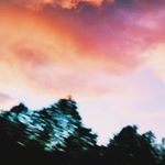 andrew r. hutto - Instagram Profile Picture of andrew r. hutto (@andrewrhutto) on Instagram