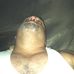 Profile Picture of John Scully (@john.scully.355) on Facebook