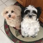 Profile Picture of Marcia Moore Belknap (@marcia.belknap) on Facebook